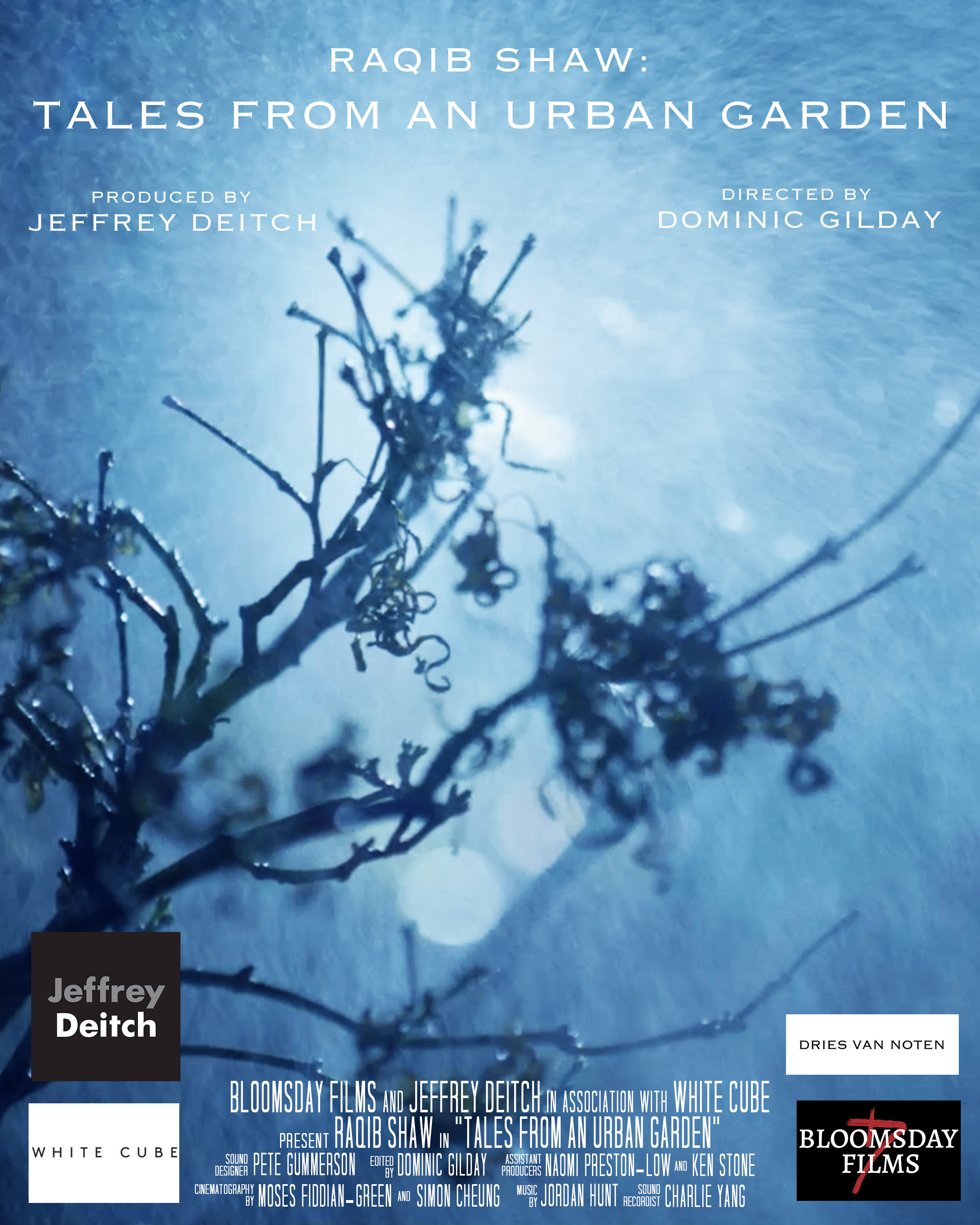 Tales from an Urban Garden